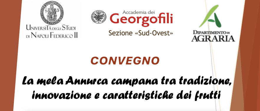 La mela Annurca campana tra tradizione, innovazione e caratteristiche dei frutti